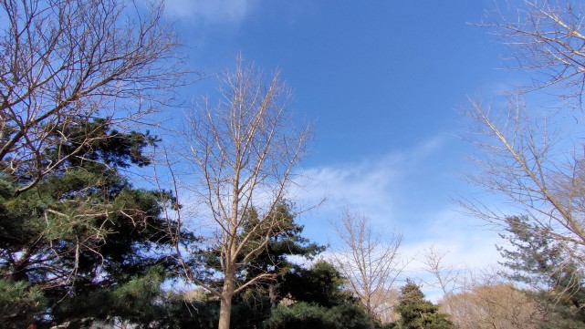 沈阳张士中关村公园,沈阳张士板块商业规划