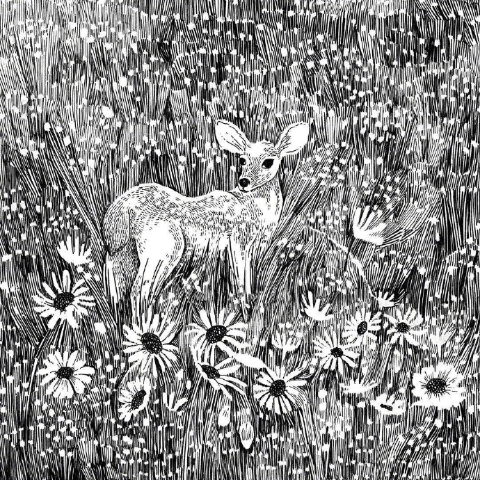 插画手绘房子黑白,手绘黑白插画作品