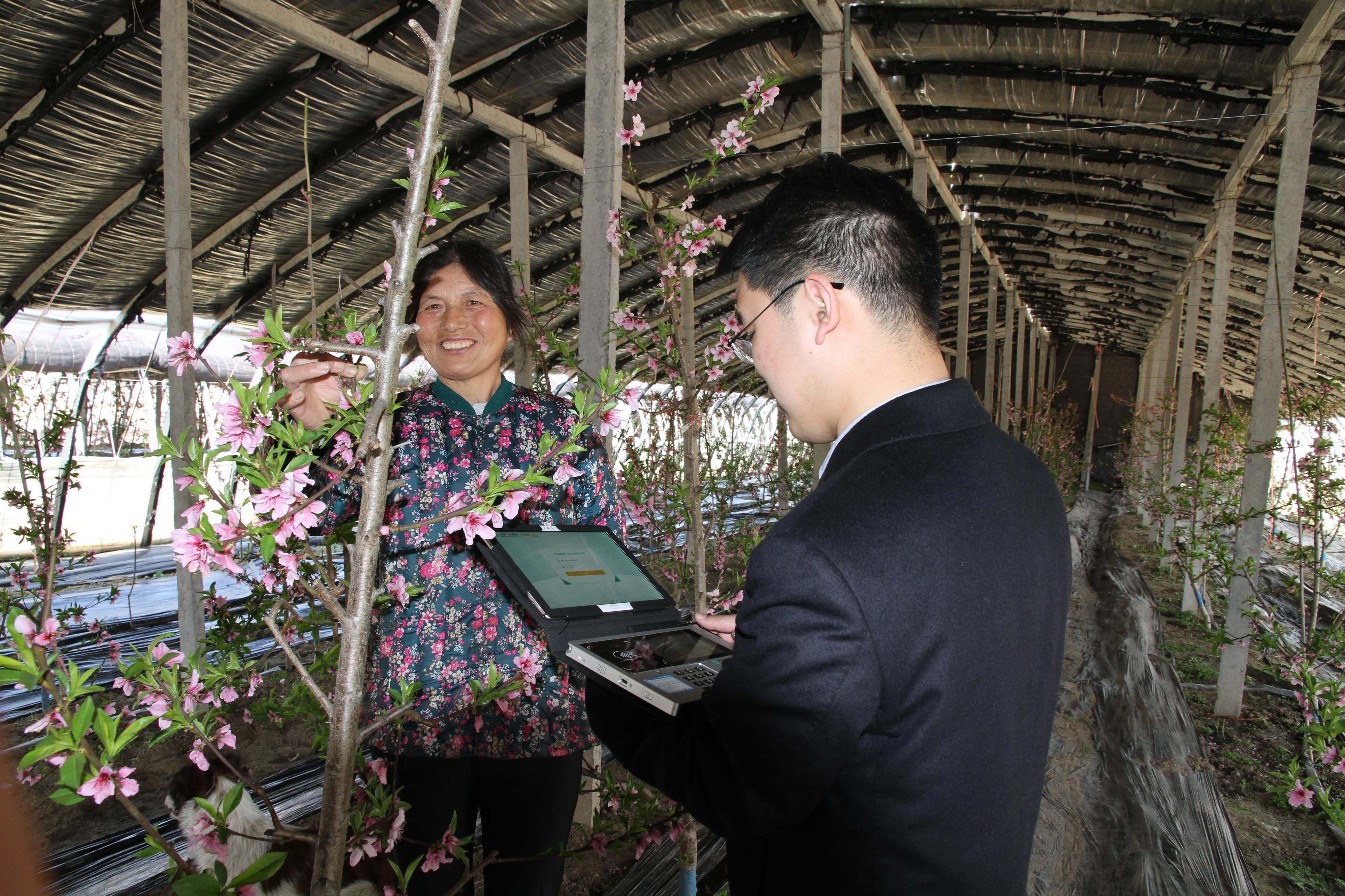 天道酬勤力耕不欺意思相近的词,天道酬勤力耕不欺什么意思
