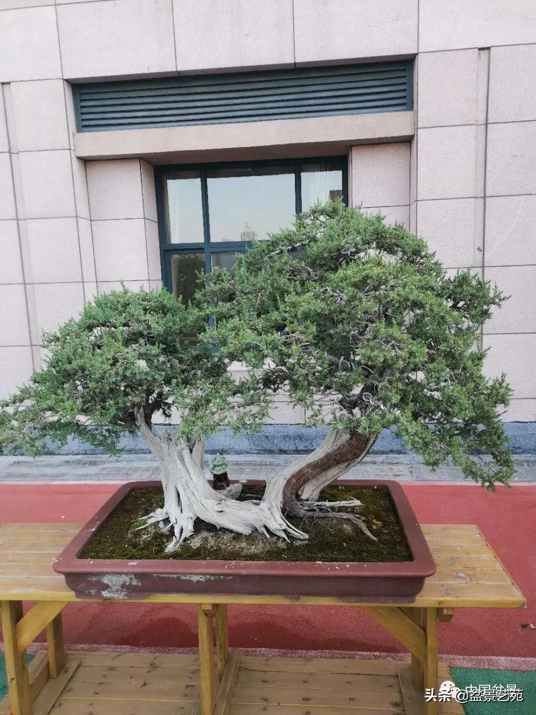 涓浗钁楀悕鐩嗘櫙澶у笀绮惧搧鐩嗘櫙,鐩嗘櫙鑹烘湳瀹跺拰鐩嗘櫙鑹烘湳澶у笀