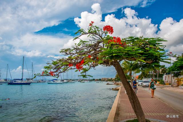 加勒比海邮轮旅行香港,加勒比海游轮旅行视频大全