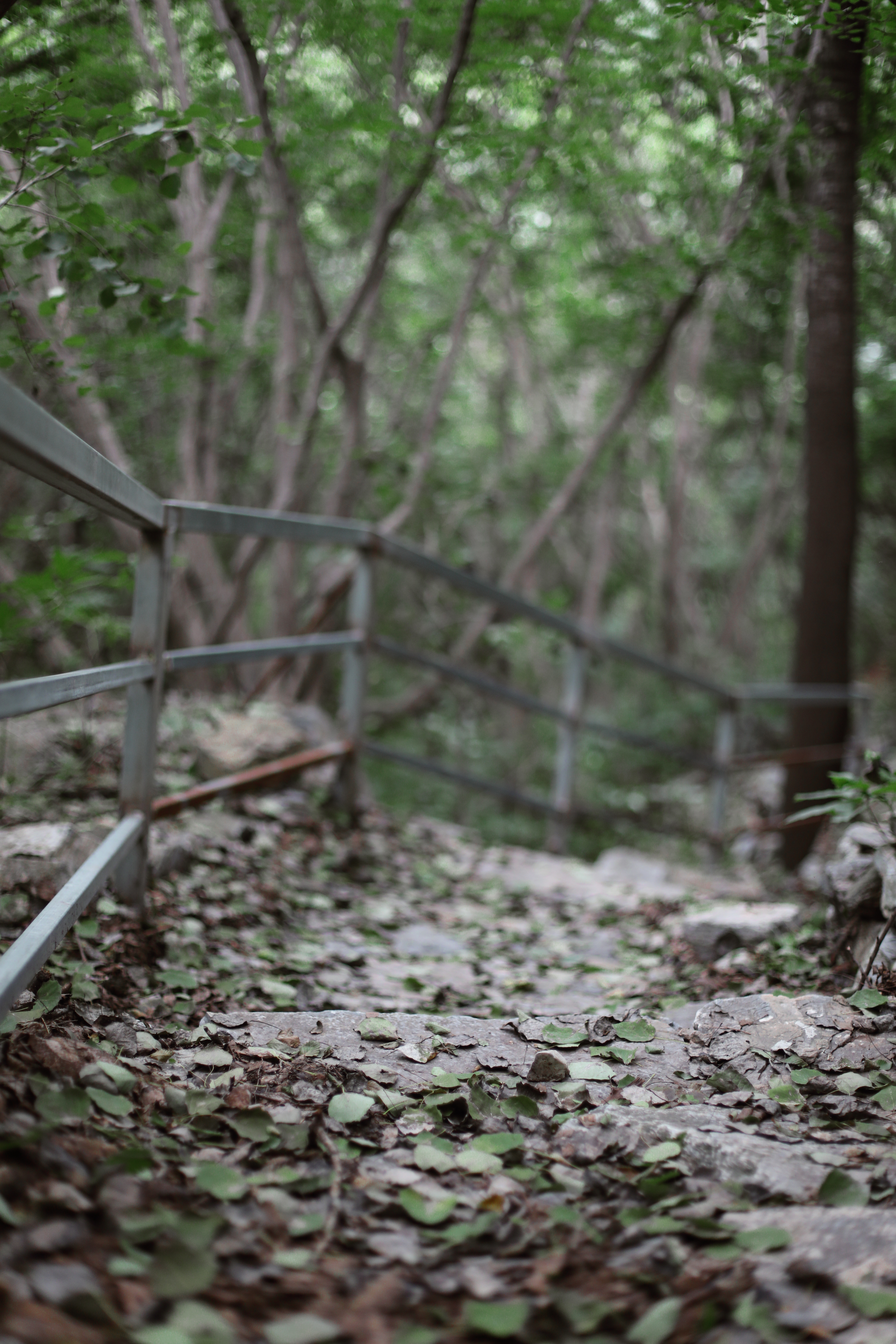 京郊十条登山步道推荐,房山蝴蝶谷登山步道