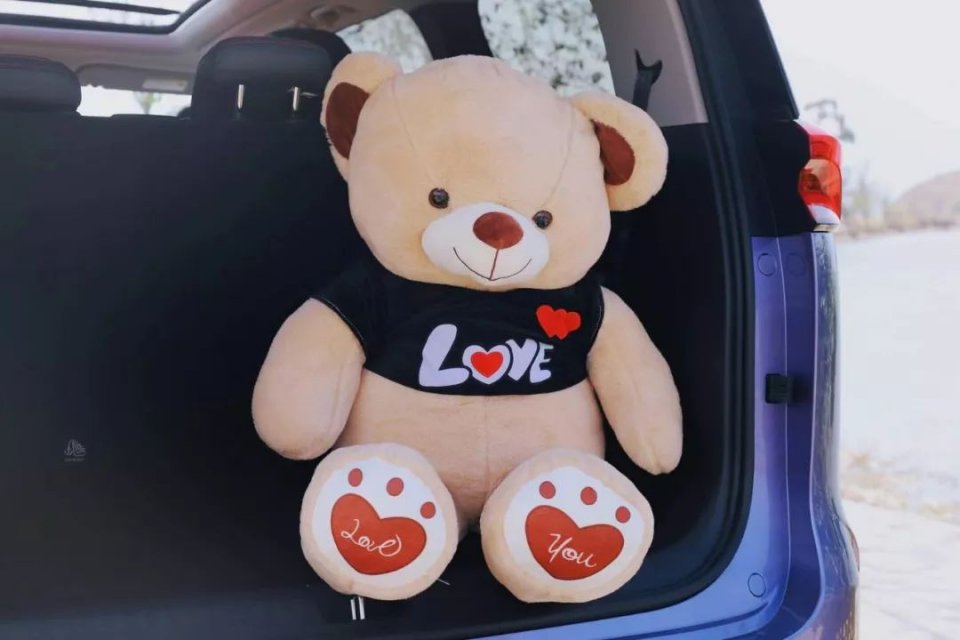 带着全家人一起房车自驾游,大通g50手动挡低配试驾视频