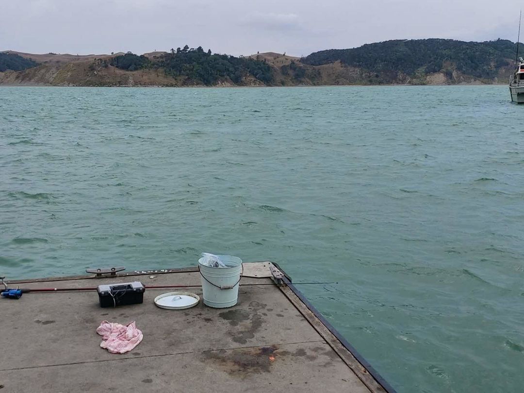 洛杉矶搬到新西兰2年，说说哪里更适合中国人