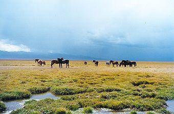 费尔干纳盆地属于哪个国家,费尔干纳盆地是什么