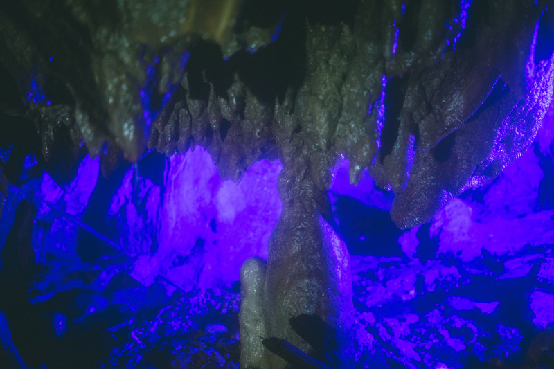 广东云浮好去处,广东云浮旅游攻略大全