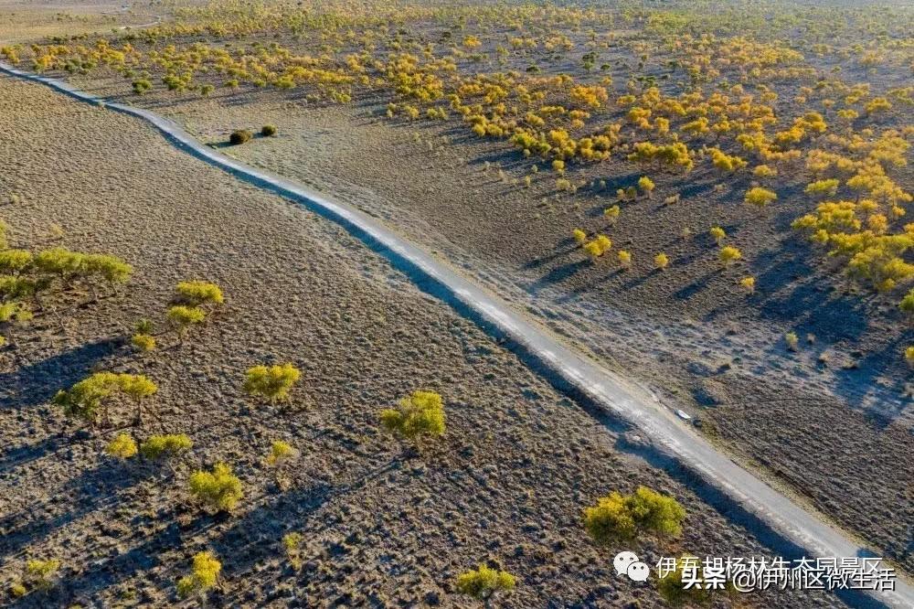 新疆哈密地区伊吾县,新疆哈密伊吾县视频