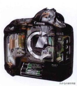 数码相机与单反相机区别,数码后背单反区别