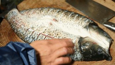 交通路附近的烤鱼,交通路好吃的烧烤店