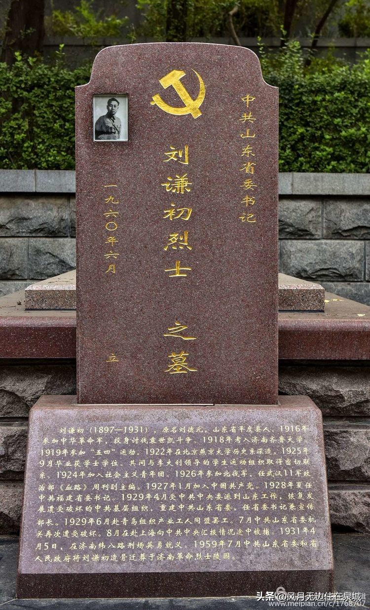 济南的法国梧桐,济南梧桐树美景