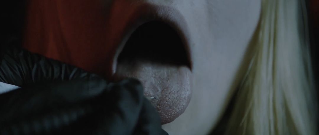 最近的cult片,cult新片