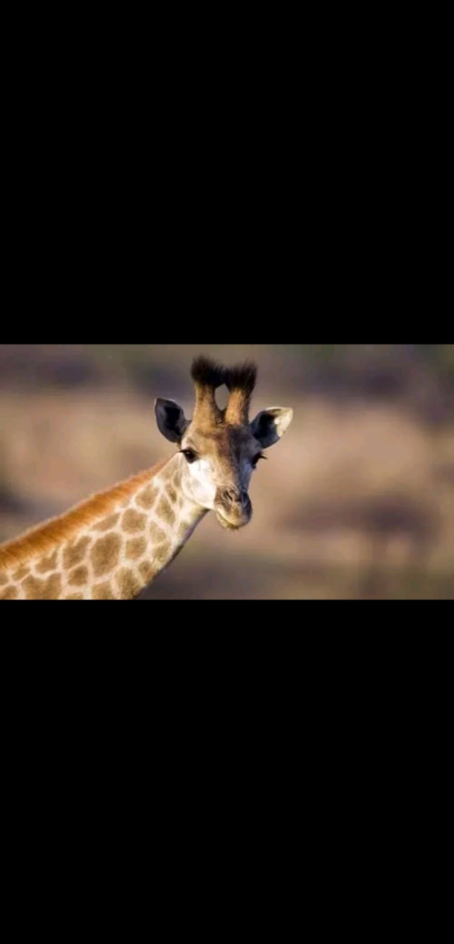 腾讯官方对微信的封号通知,腾讯微信封号事件