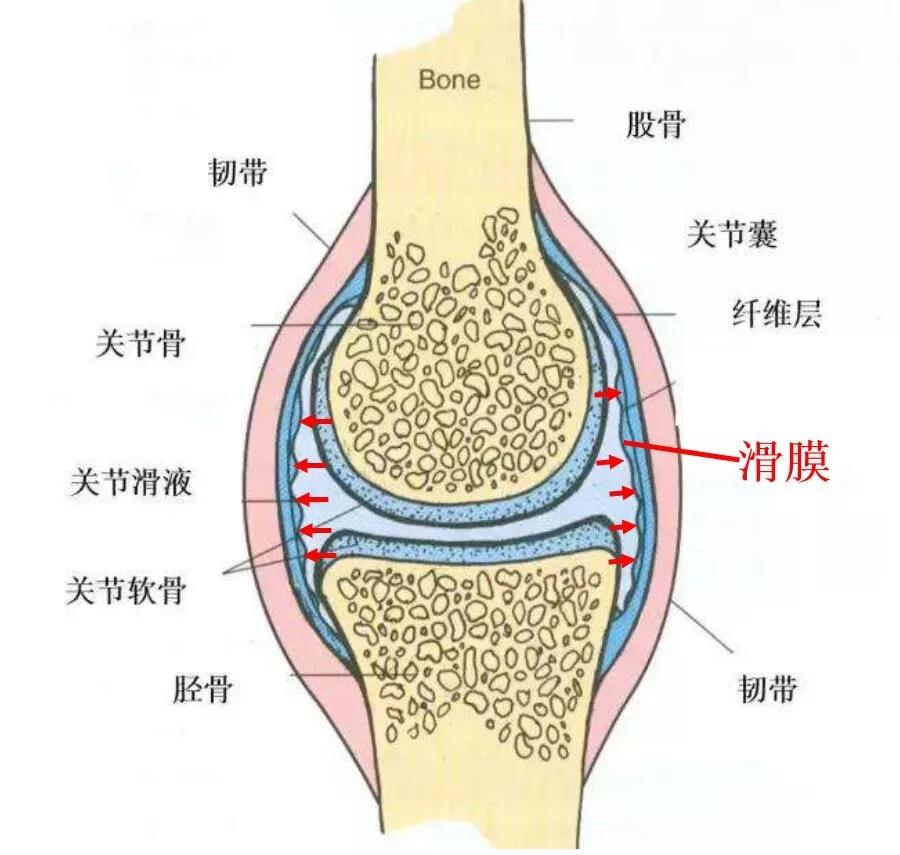 跑步最常见的十种伤痛及处理方法,跑步相关运动损伤综述