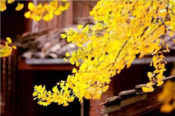 不要听说腾冲,请听腾冲说