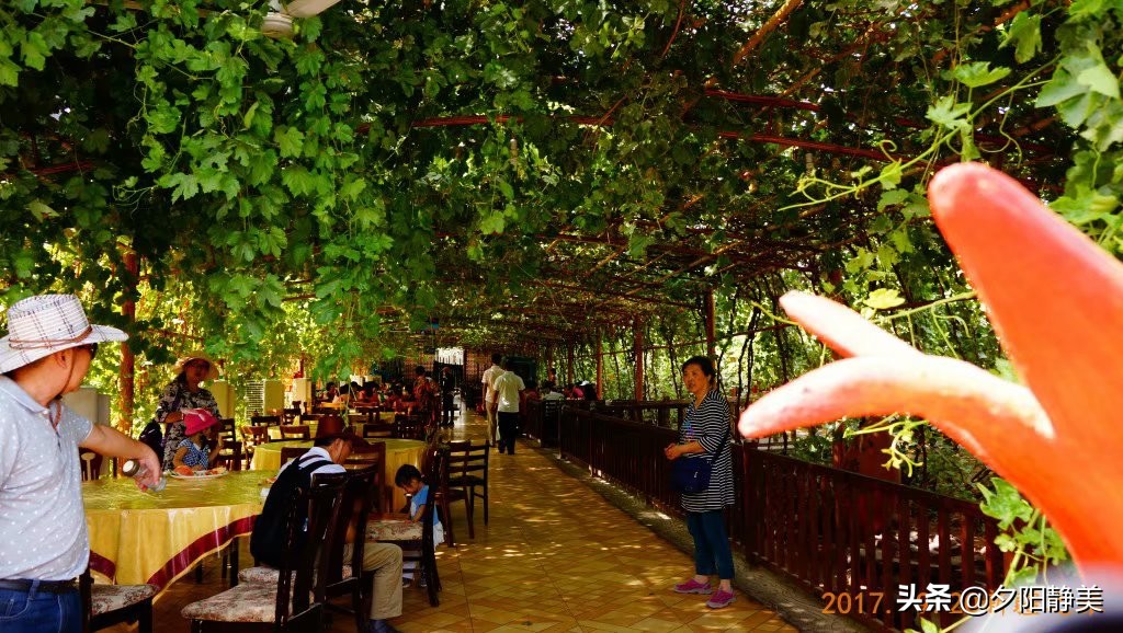 大美新疆葡萄沟,大美新疆享受视觉盛宴