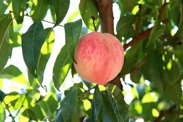 你心目中的乳山是什么样子的？