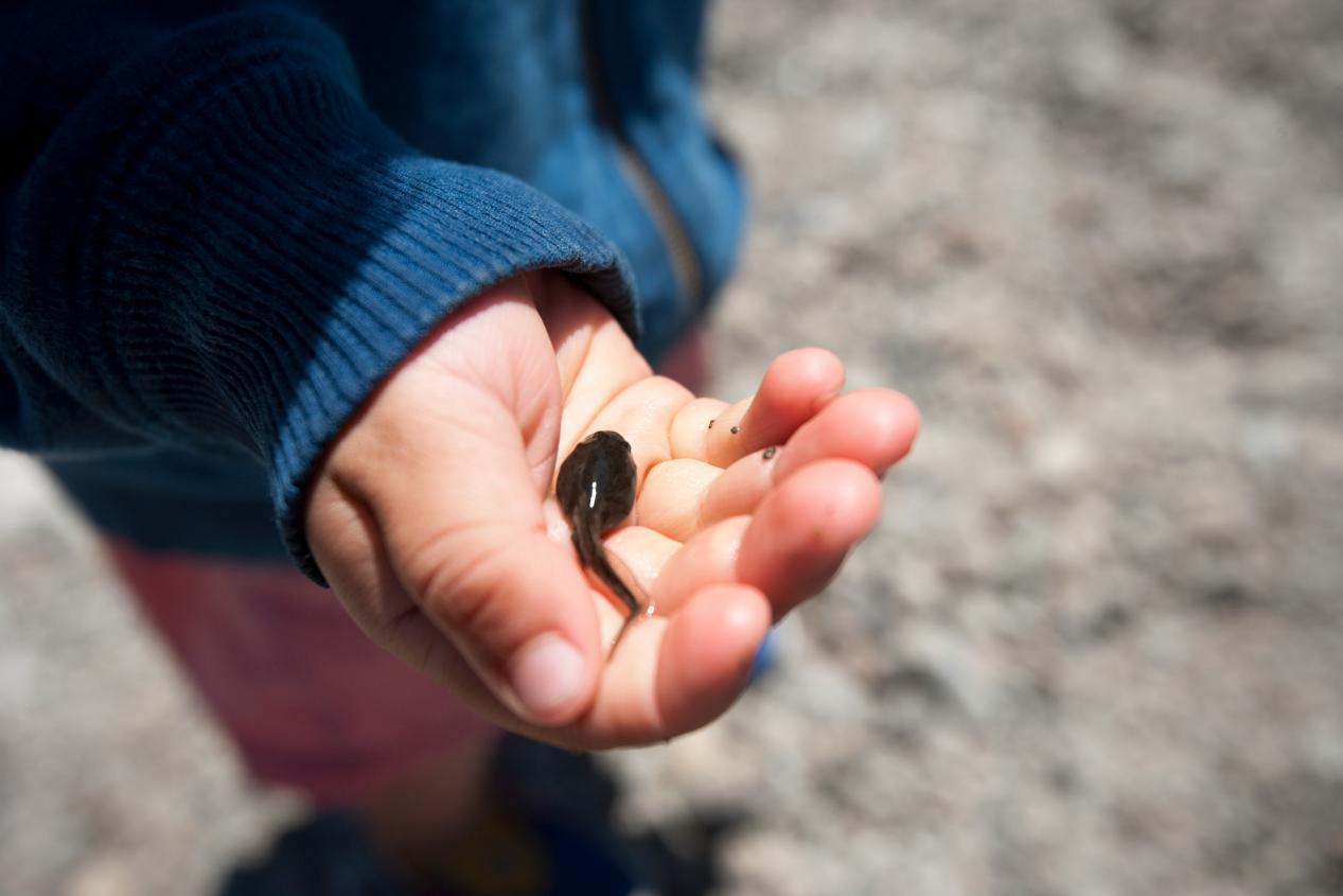 古代用什么避孕且不伤身体,古代的十大避孕方式