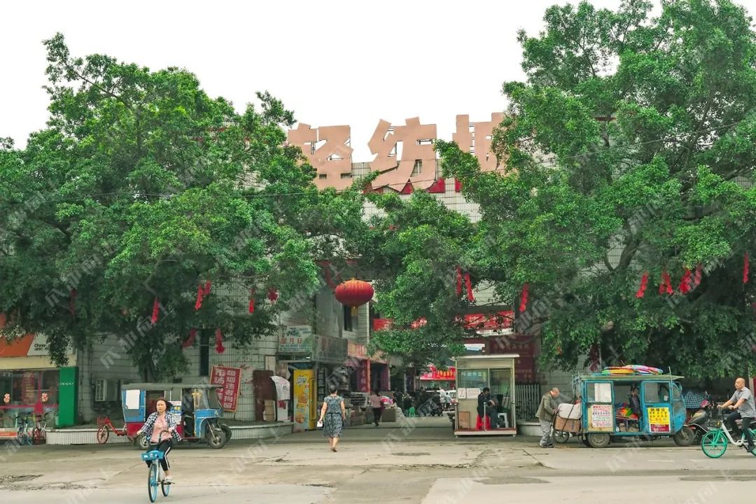 我们用了3年时间，被五块石这13组对比照给搞哭了！