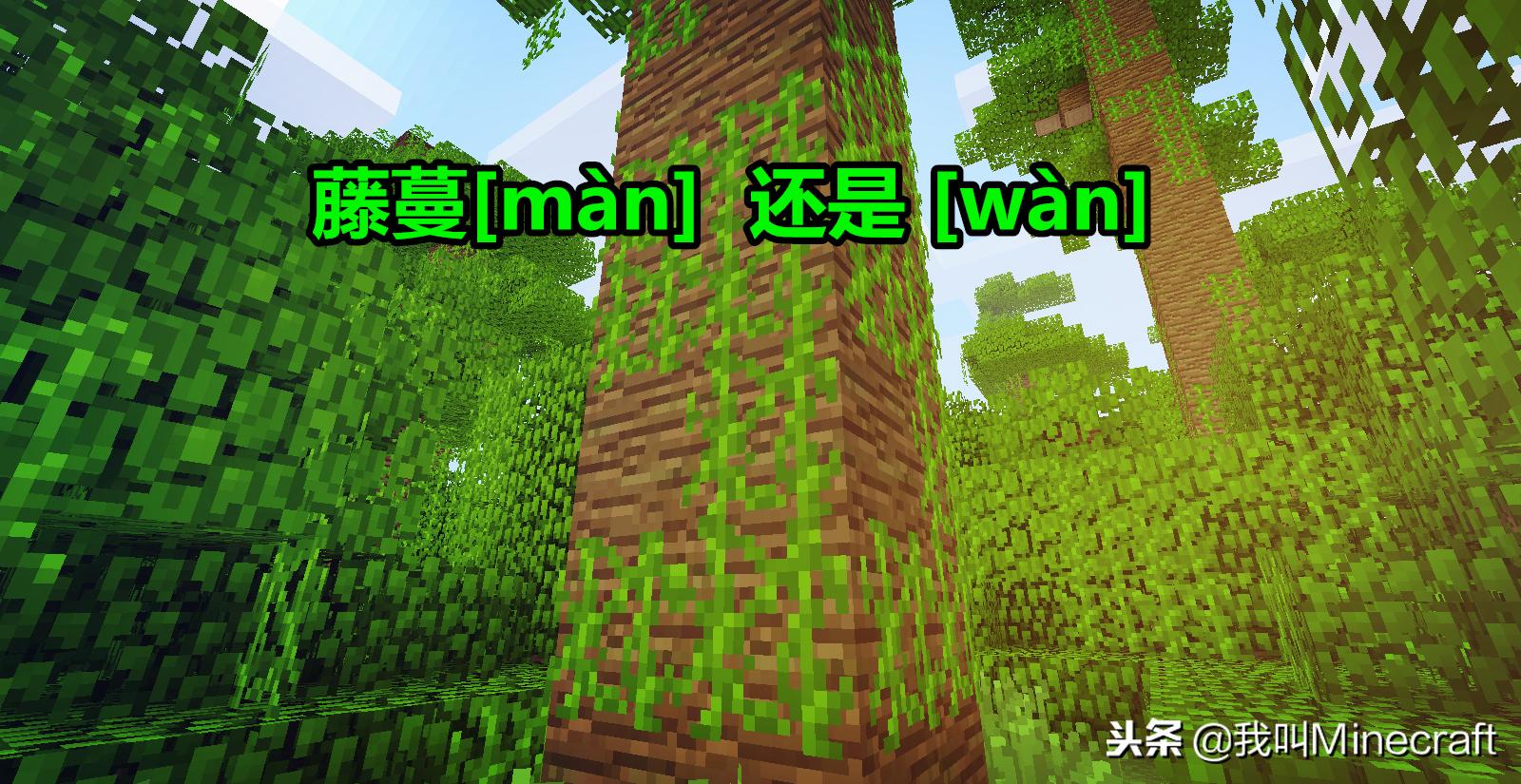 我的世界小学生嘲讽mc视频,我的世界mc历史遗留问题