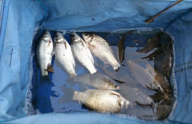 钓鱼人应该保持的心态,钓鱼人的三大坏习惯你却长期忽略