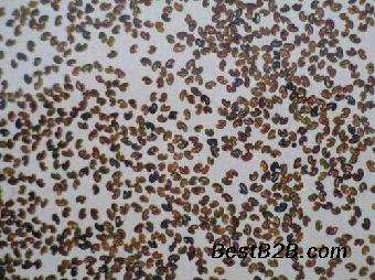 紫云英花色淡紫,看起来不仅仅是漂亮,更重要的是它有很多的作用