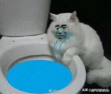 猫砂可以直接倒入马桶吗,猫砂可不可以倒入马桶