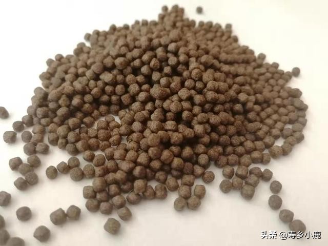 养龟需要做什么准备,养龟必须要有哪些东西