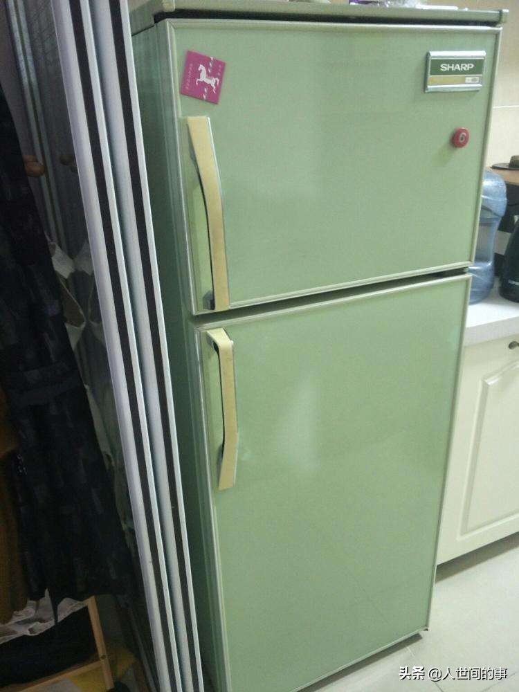 博世冰箱发展历史,十大品牌冰箱最新排名京东西门子