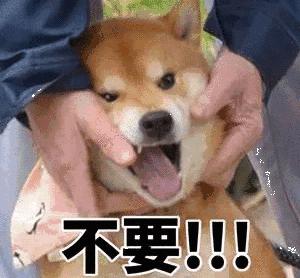 这个行为太恶劣了该怎么办,这个行为