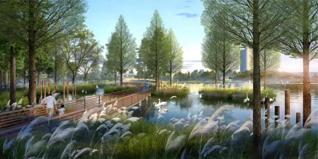 钱塘新区的东湖与金沙湖比较,钱塘区金沙湖规划