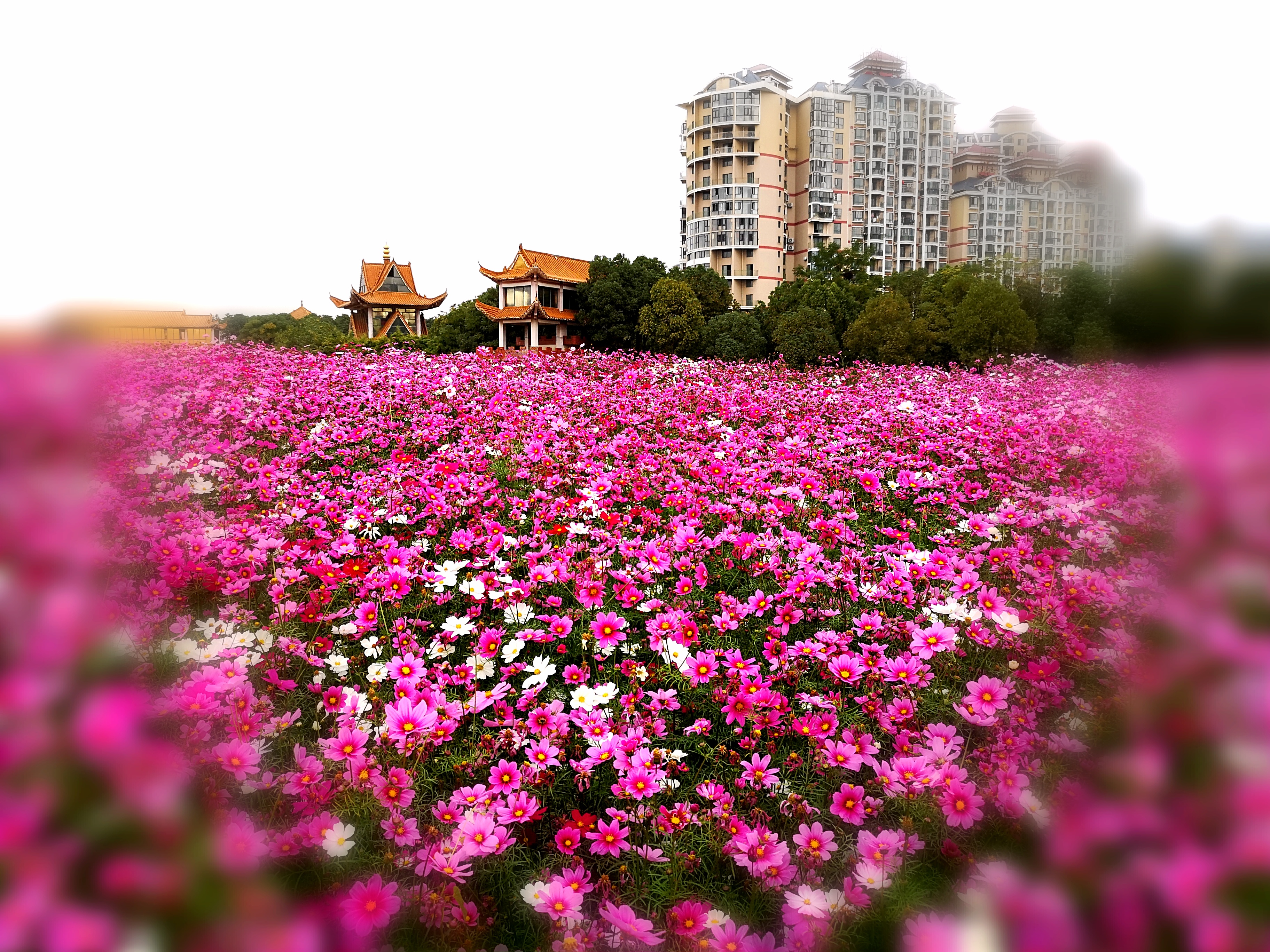 沉睡了千年的历史,沉睡的历史神秘的墓葬