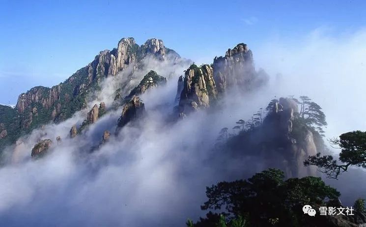 赵军|颖滨尚见荷钱小,堤岸时逢柳色新