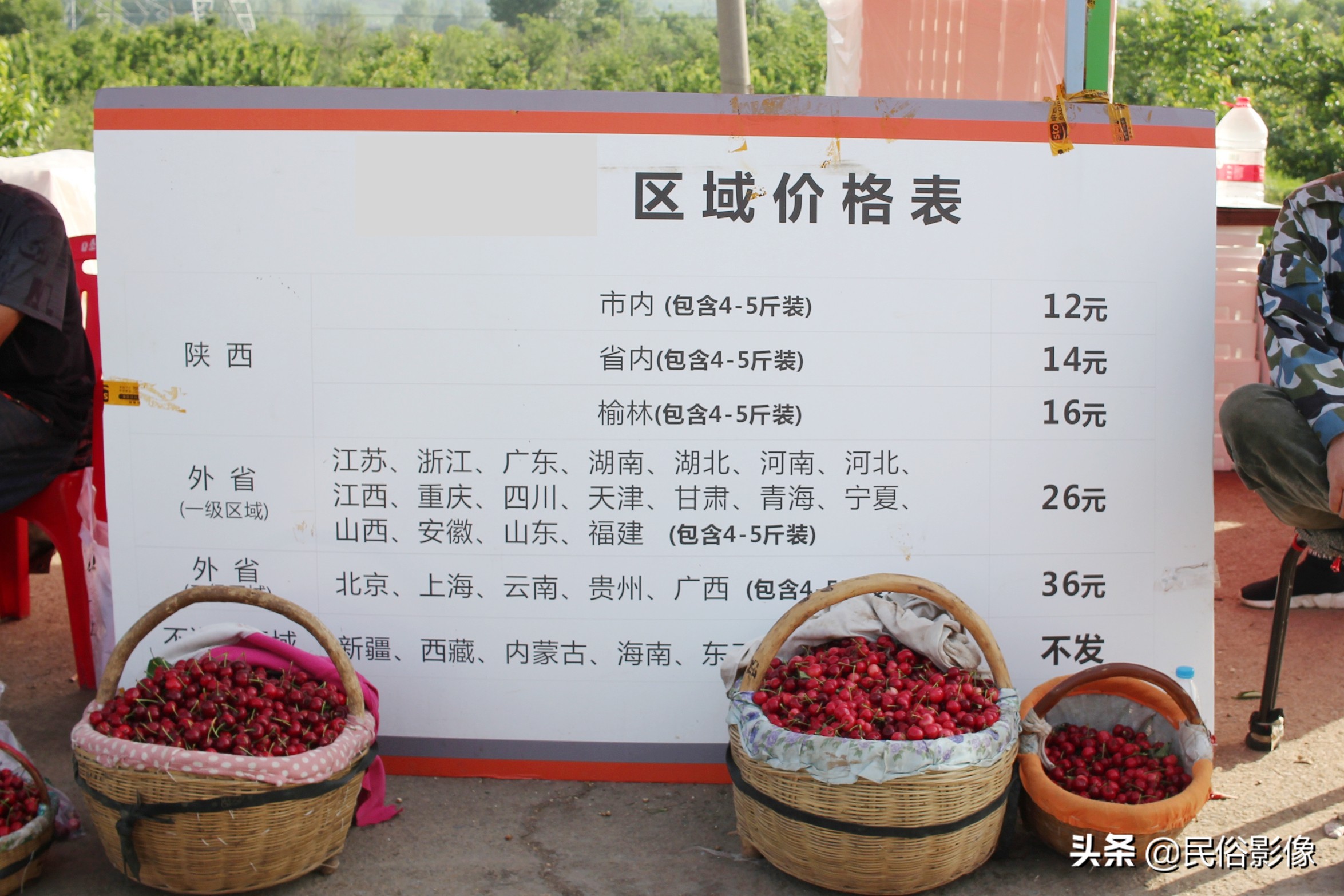 济南樱桃最新价格表,山东樱桃美早最新价格表