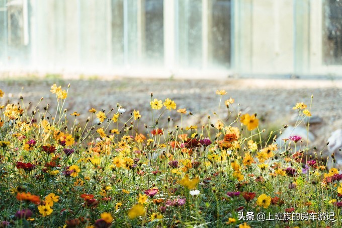 景德镇旅游最新攻略,景德镇旅游攻略
