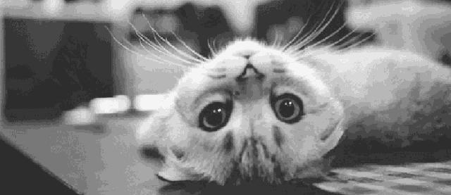 你和富豪的差距只差一个习惯,你和富人的差距只有一点