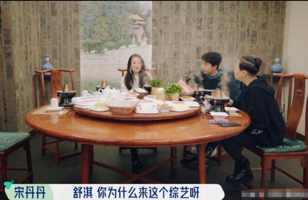 桃花坞收视率好吗,桃花坞首播惹争议