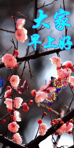 我把幸福送给你,11月快乐我把祝福送给你高清图片