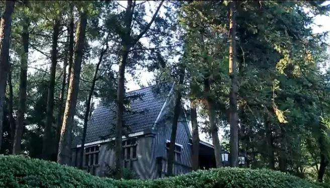 綦江到重庆机场的大巴车时刻表,綦江到重庆机场订票