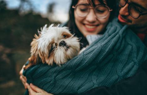 丁克被冷落,丁克各个阶段感受