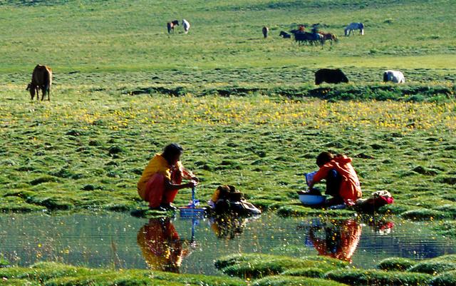 四川省理塘县旅游形象大使丁真,丁真四川甘孜理塘县旅游形象提升