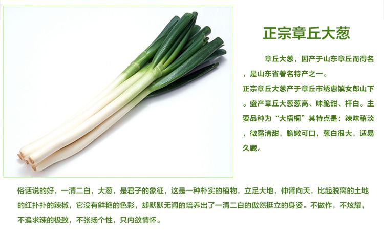 济南几大怪,济南十大怪事件