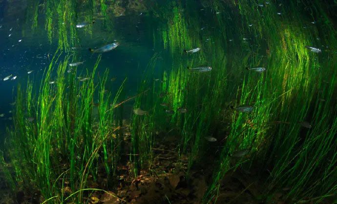 特级教师教你写600字,特级教师教你写400字满分作文