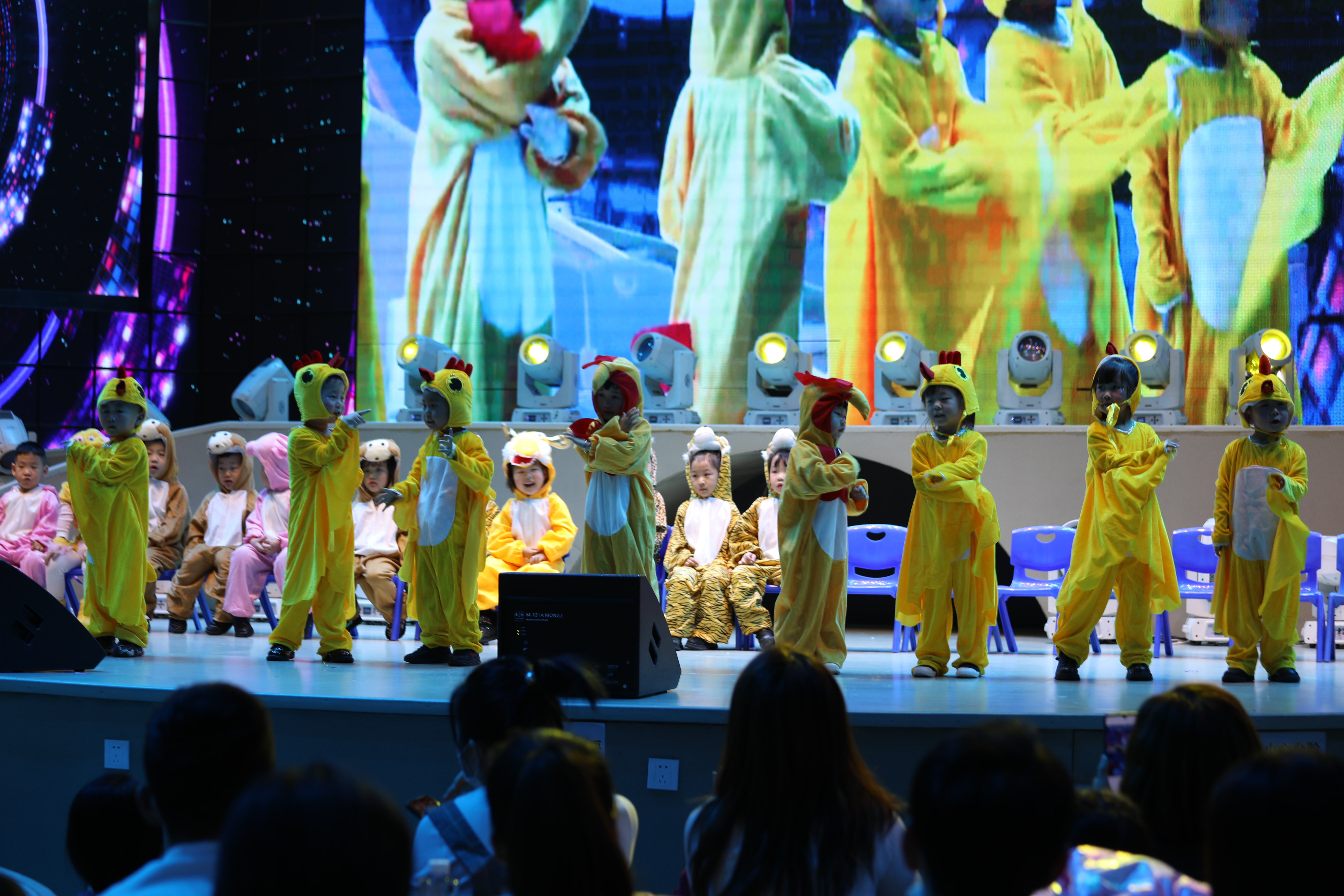 星星幼儿园第一届亲子活动,星星幼儿园亲子运动会