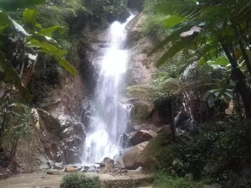 冬日浪漫初体验开启樱花谷神秘之旅