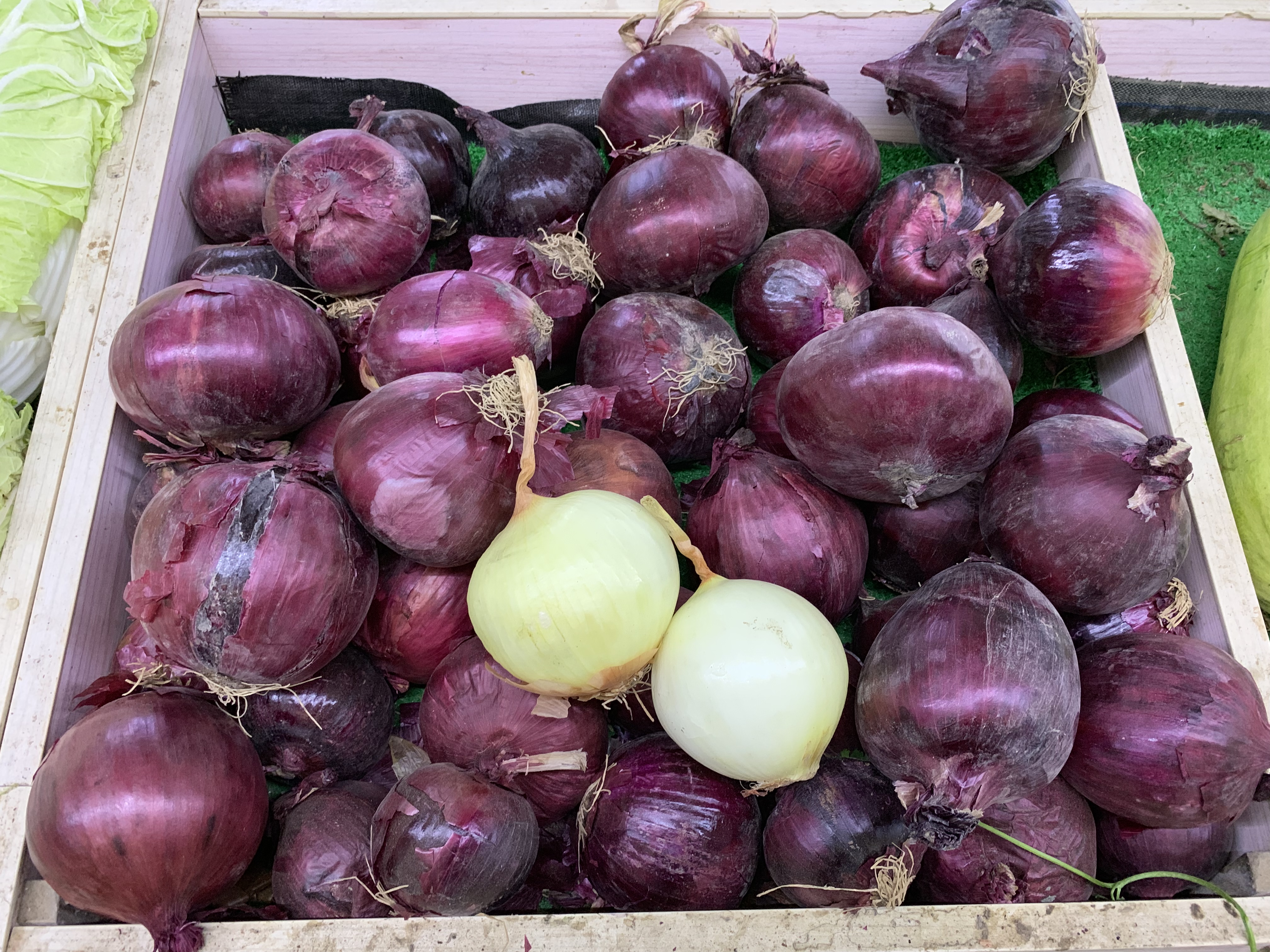 白皮洋葱与紫皮洋葱营养有区别吗,白皮洋葱和紫皮洋葱的区别