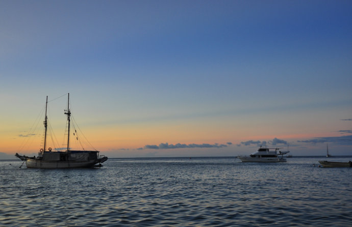 全民热遗｜大堡礁上有个翡翠岛，绝美好玩，还是海龟康复中心