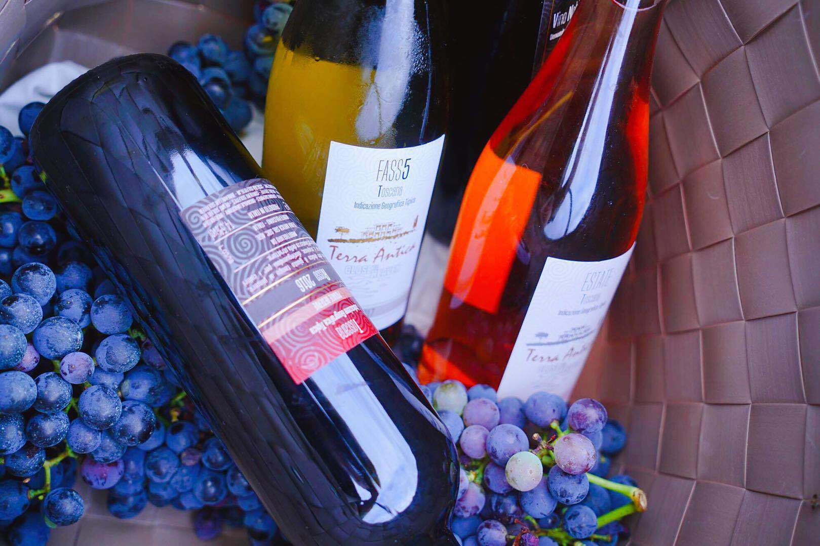 葡萄酒怎么辨别真假视频,怎样辨别葡萄酒的好坏真假