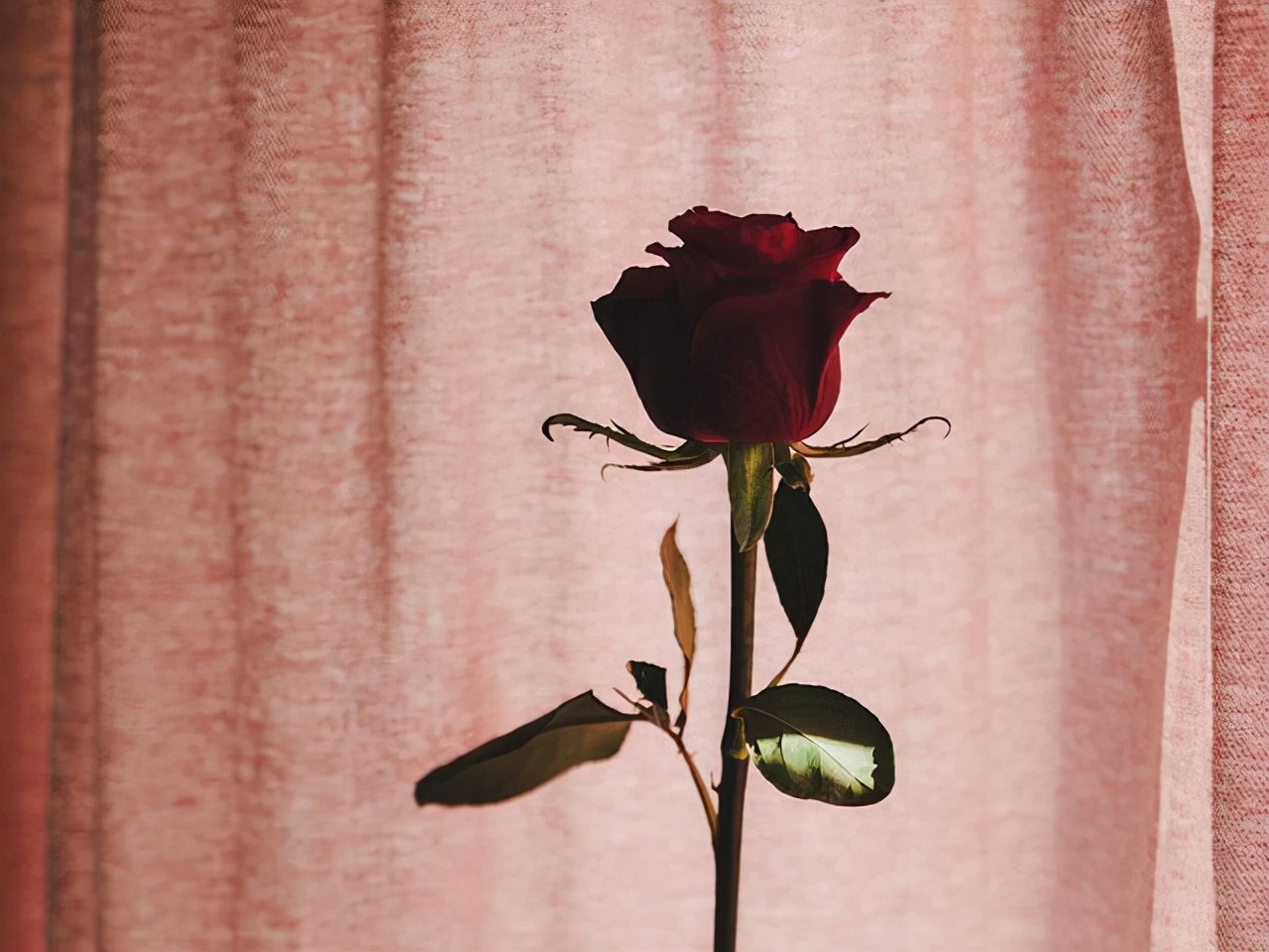 互相暗恋的人才会有默契,互相暗恋的两个人有多甜