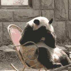 搞笑gif目光全在腿上了,爆笑gif动图我们一起出去霸气一点