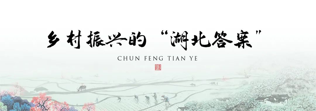 蓝城史诗级田园巨著，或将引领十万武汉人“上山下乡”